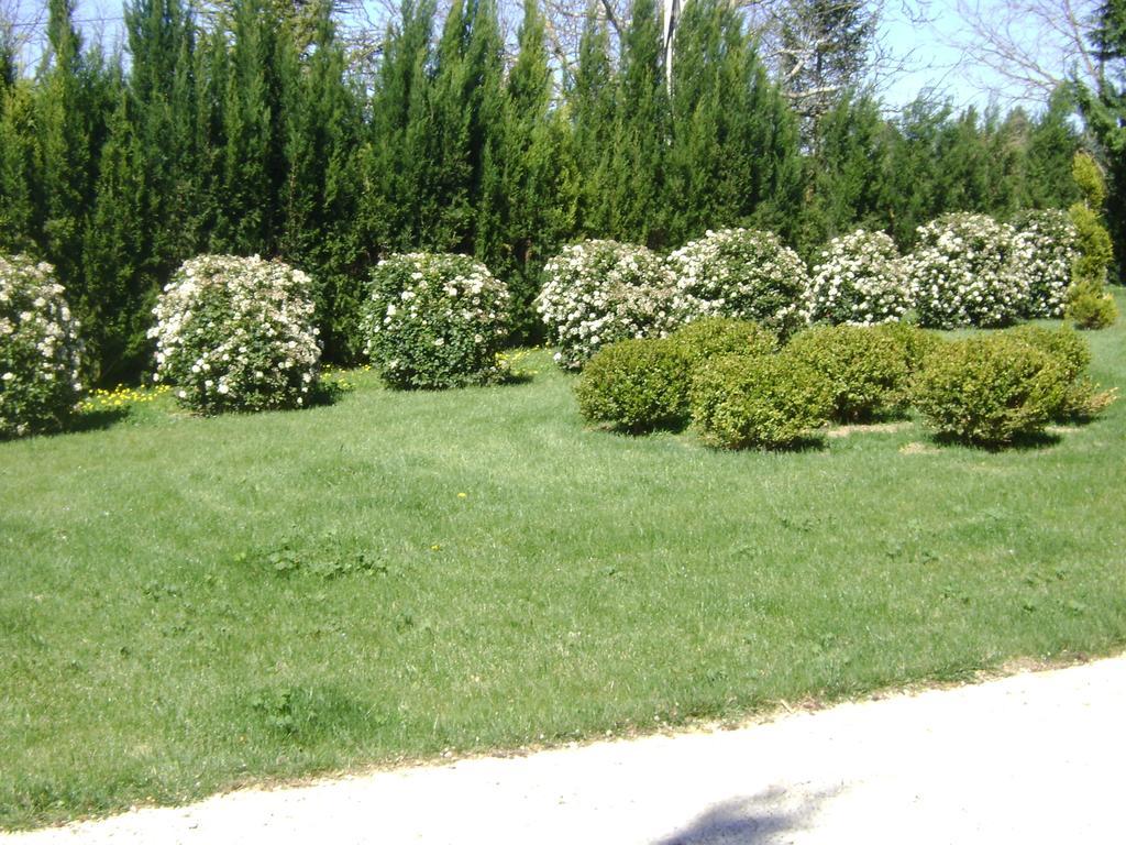 Bastide Des Lauves Villa Aix-en-Provence Ngoại thất bức ảnh